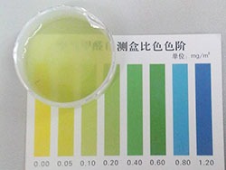 甲醛測試盒準嗎