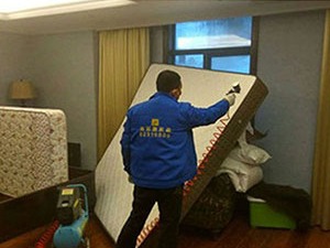 蟑螂應該怎樣才能根除